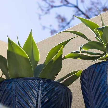 Fisherhouse23 Ferienhaus *